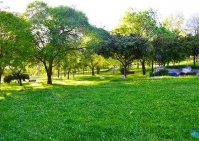 Parque Doctor Morales Zonas Verdes