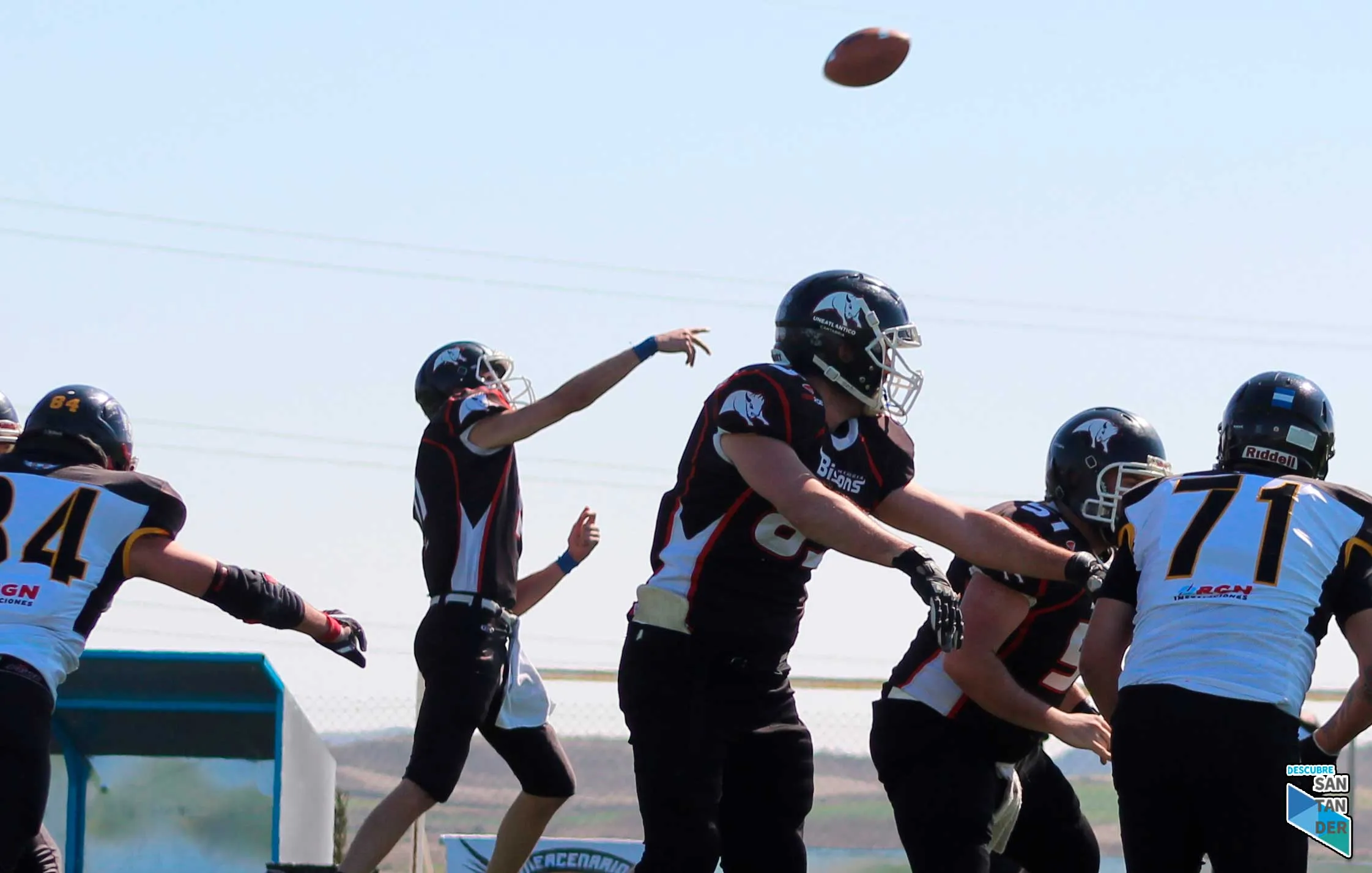 CANTABRIA BISONS CANTABRIA BISONS