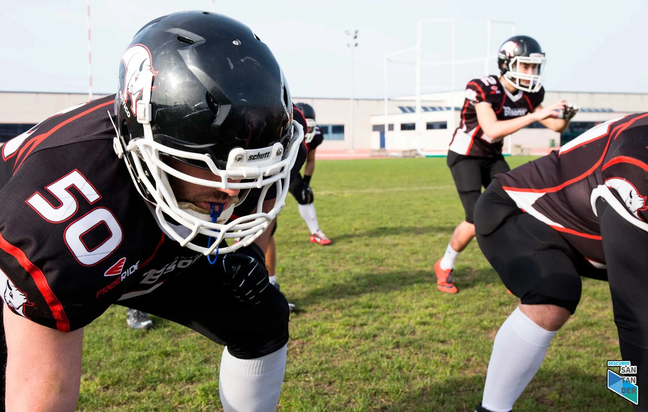 CANTABRIA BISONS CANTABRIA BISONS