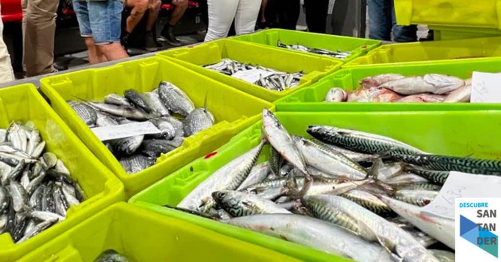 Noticias Santander Pesca destina 200.000 euros a las cofradías de pescadores de Cantabria para que realicen inversiones en beneficio del sector