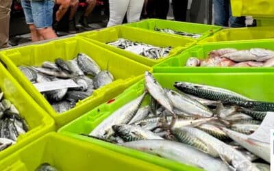 Pesca destina 200.000 euros a las cofradías de pescadores de Cantabria para que realicen inversiones en beneficio del sector