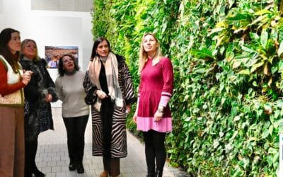 Santander retoma el programa de visitas guiadas al jardín vertical de Tabacalera