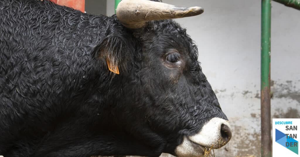 Noticias Santander Desarrollo Rural convoca ayudas para las agrupaciones de defensa sanitaria ganaderas de Cantabria por valor de 130.000 euros