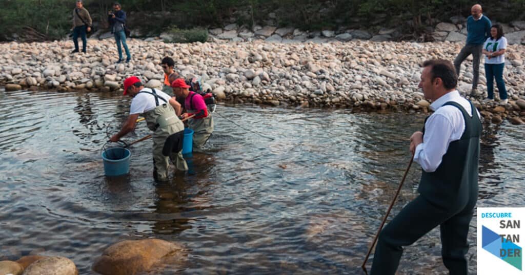 Noticias Santander Blanco asiste al rescate y traslado de peces del Río Pas que se adelanta con motivo del descenso del caudal por la sequía