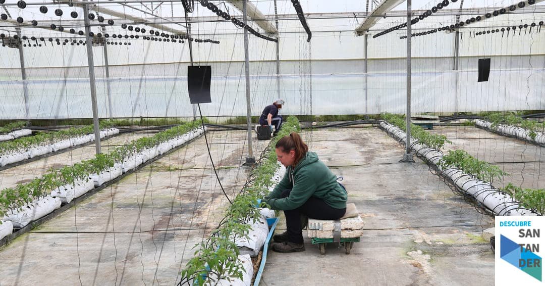 Convocadas ayudas para inversiones en la mejora de la bioseguridad en centros de limpieza, transporte de animales y viveros vegetales