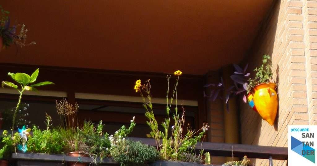 Noticias Santander Medio centenar de personas, en la presentación de la Red de Jardines y Terrazas Biodiversas