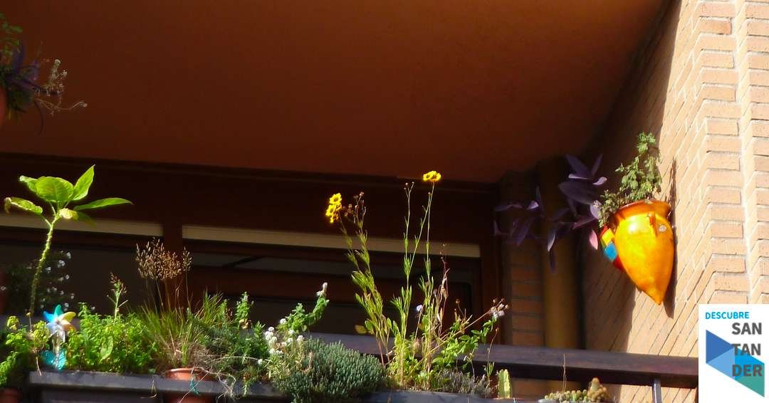 Medio centenar de personas, en la presentación de la Red de Jardines y Terrazas Biodiversas
