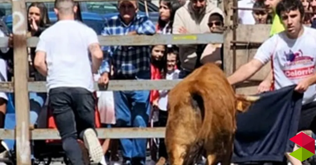 Horarios encierros vaquillas de Molledo 2025