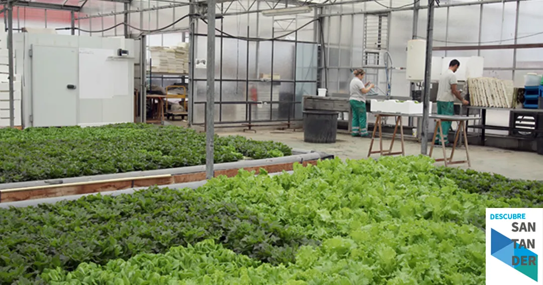 El Gobierno convoca las subvenciones para financiar las unidades de apoyo de los centros especiales de empleo por importe de 300.000 euros