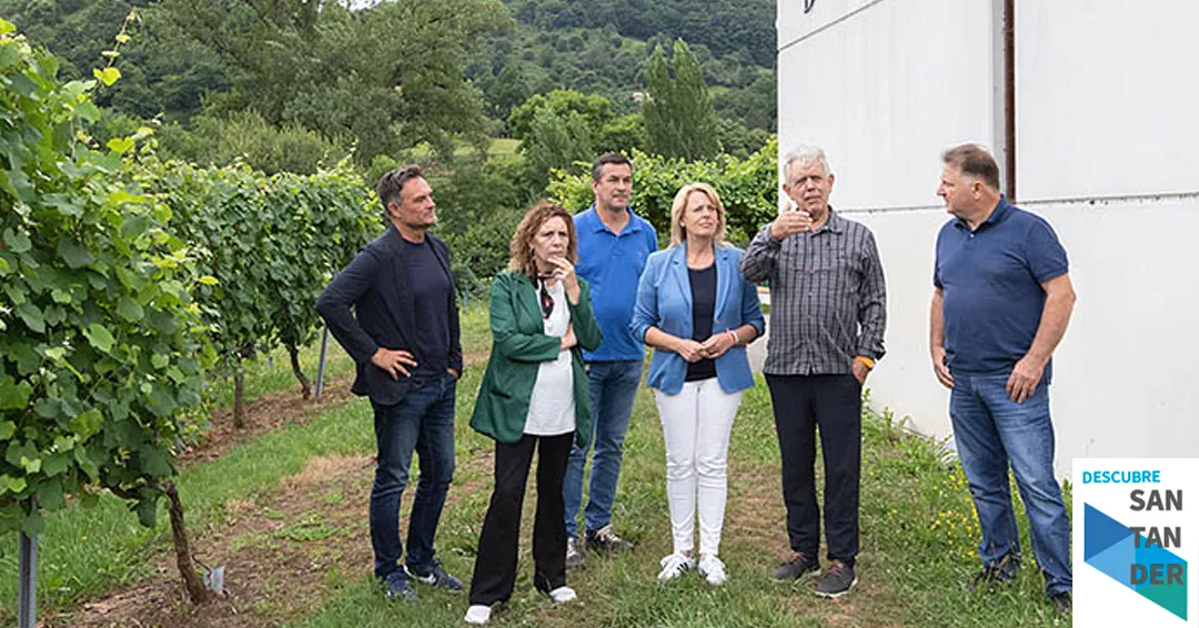 Susinos afirma que la futura Agrupación de Productores de Vino impulsará al sector con un sello de calidad diferenciada