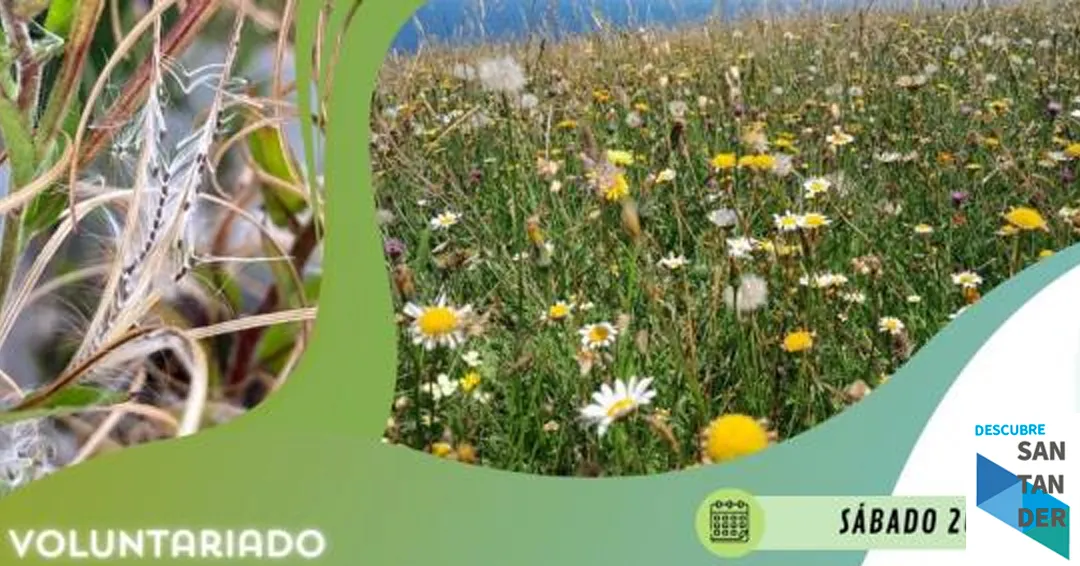 ‘Santander Capital Natural’ organiza una jornada divulgativa de recolección de semillas silvestres