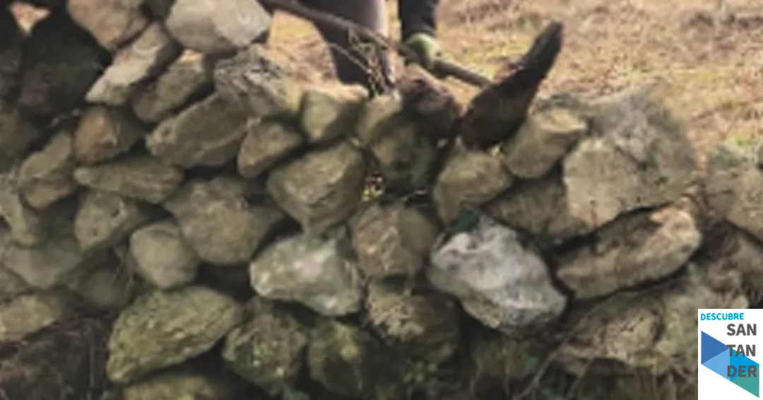 Eventos Santander “A través de los morios de pedra seca”. Visita y cata en un viñedo local