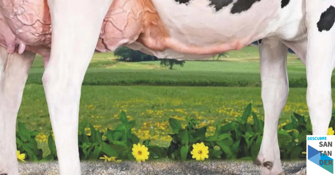 Eventos Santander Conferencia El manejo de la vaca de leche