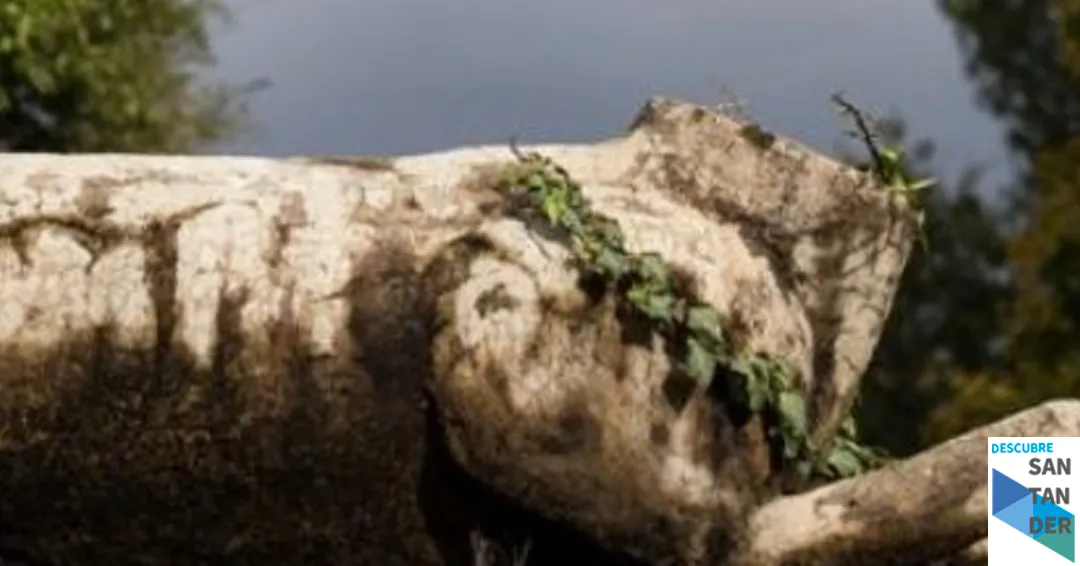 Eventos en Santander La Belleza de lo trágico presentación y recital con Maru Bernal