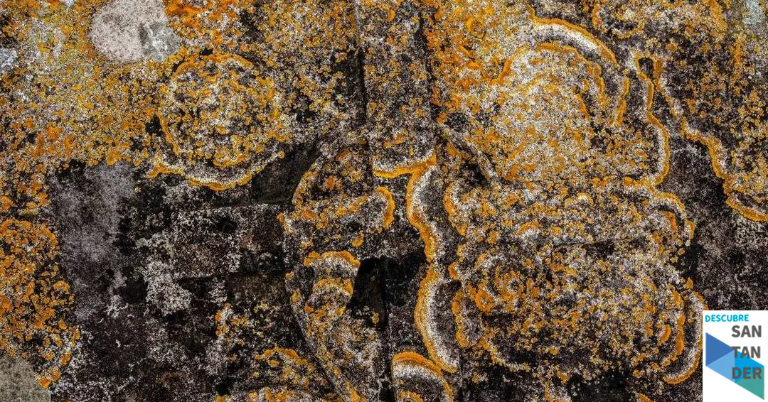 Eventos Santander Ruta de la memoria en el cementerio de Ciriego