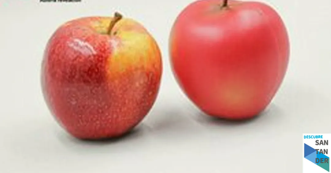 Eventos Santander Simulacro de La Caja Flotante