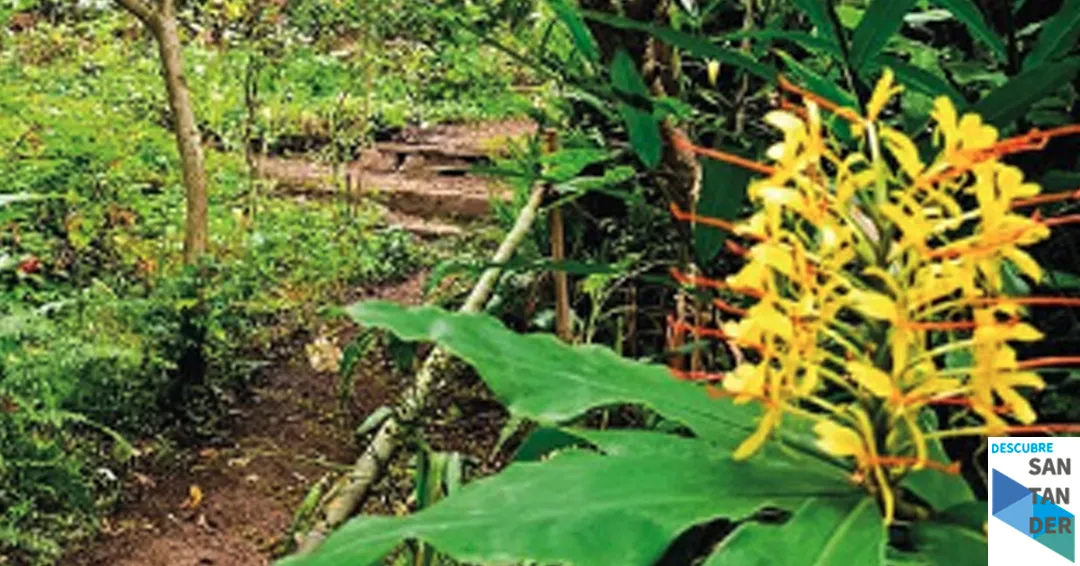 Eventos Santander Visita a un jardín singular Mi rincón de pensar