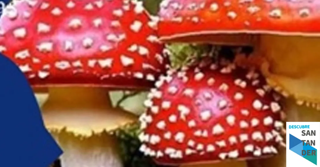 Programa jornadas micológicas de Luey 2025