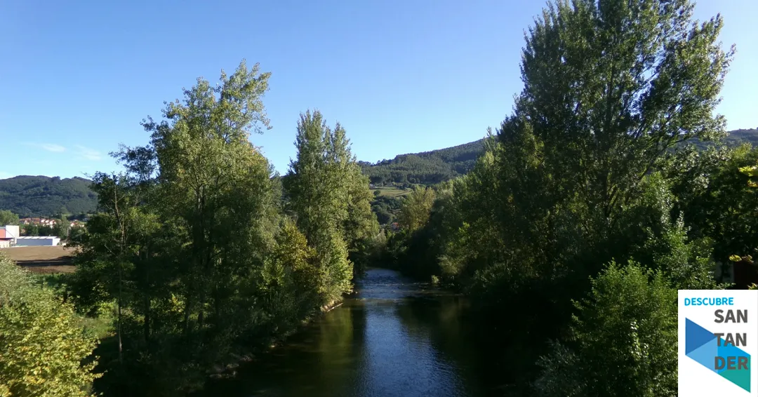 Los bosques de ribera: guardianes del agua