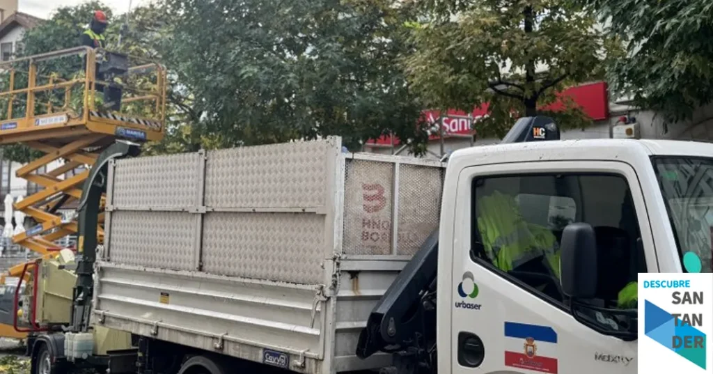 Noticias Astillero Astillero avanza en los trabajos de poda mantenimiento del arbolado urbano