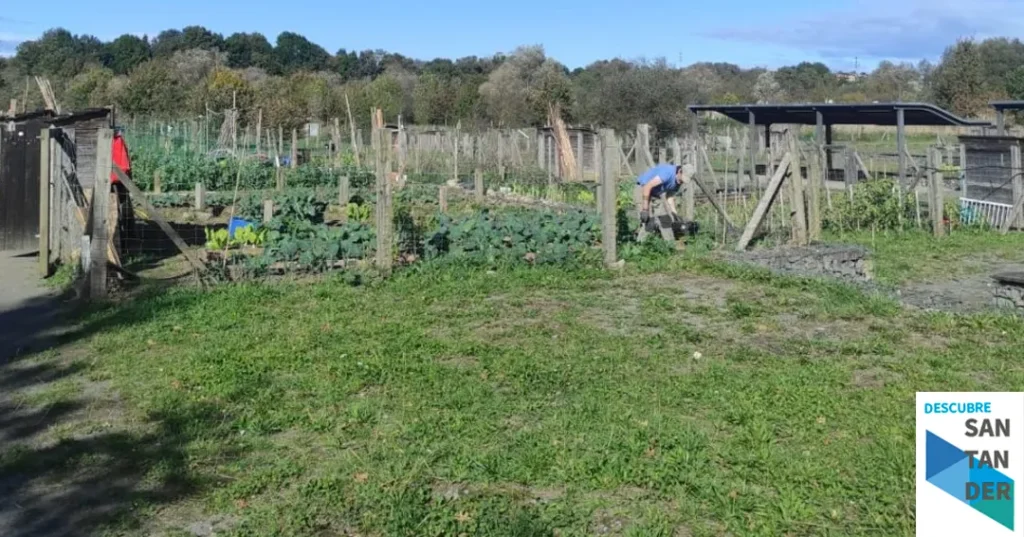 Noticias Colindres imparte un curso de iniciación a la agricultura ecológica