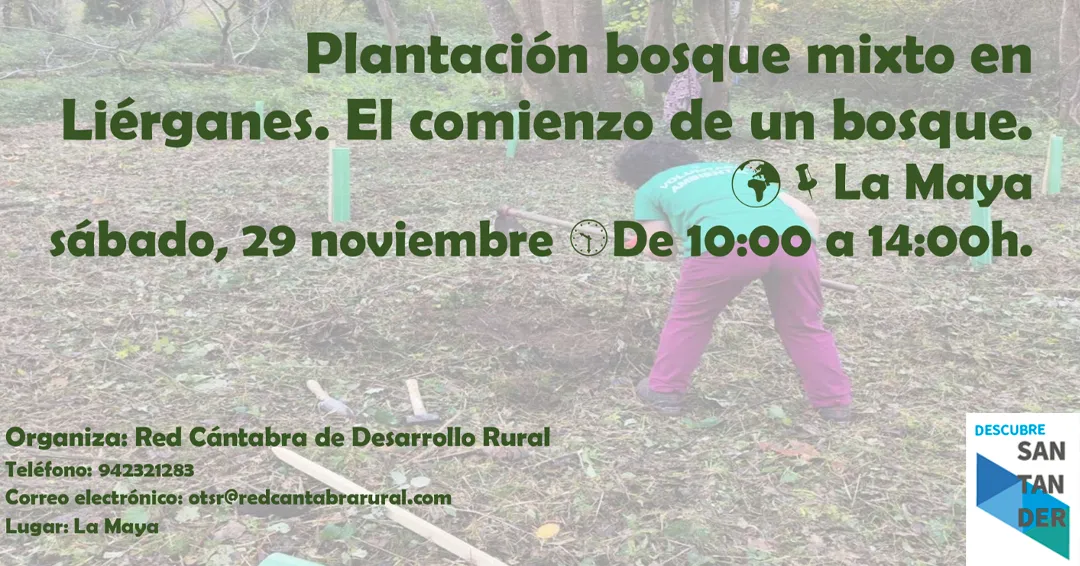 Voluntariado Ambiental en Liérganes: Nace un Nuevo Bosque