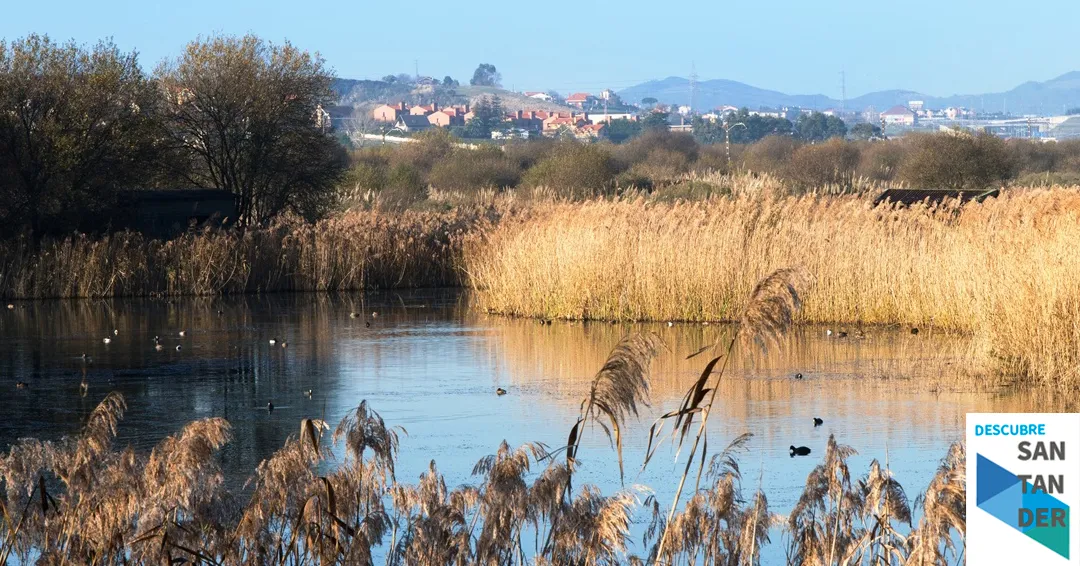 La Escuela de Medio Ambiente de Camargo organiza una jornada de educación y voluntariado en las Marismas de Alday