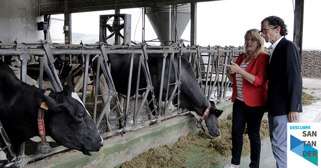 El Gobierno de Cantabria abona más de 2,1 millones de euros en ayudas al bienestar y sanidad animal al sector bovino