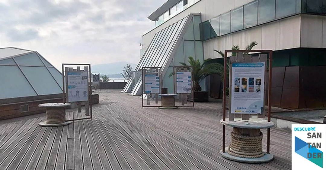 El Museo Marítimo acoge una exposición sobre Biodiversidad del Ministerio de Transición Ecológica y el Reto Demográfico