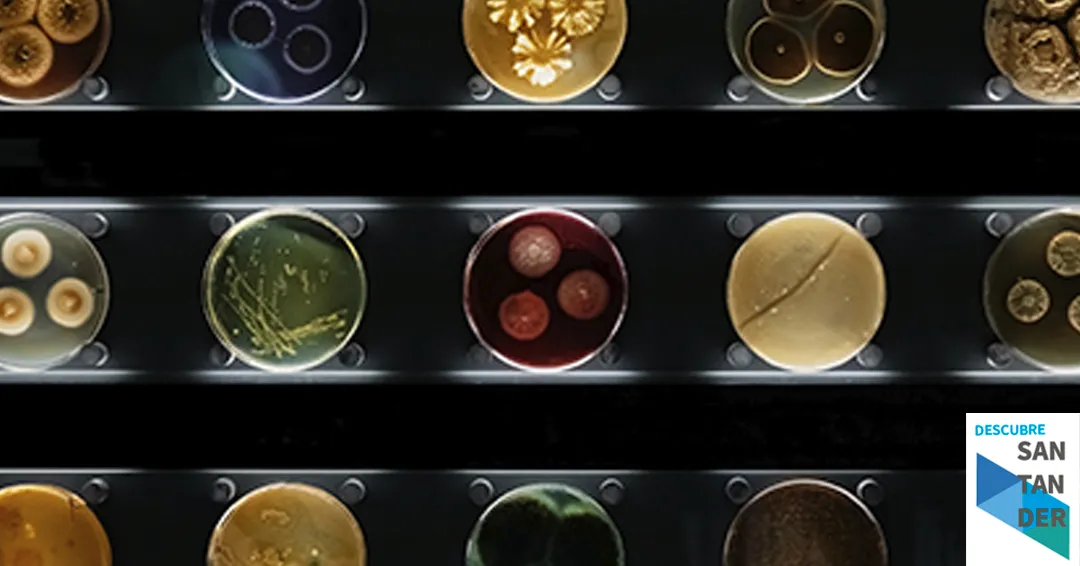 Eventos Santander Biotecnología para todo(s): Probióticos vegetales: el poder invisible que sostiene la agricultura