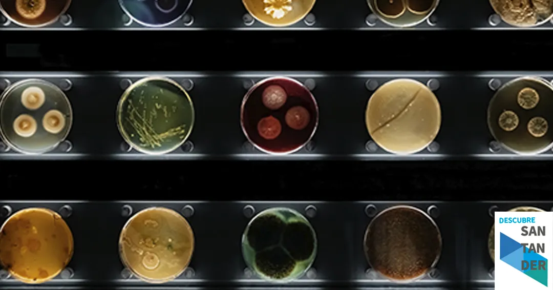 Eventos Santander Biotecnología para todo(s): Microalgas, solución circular para convertir residuos en proteínas