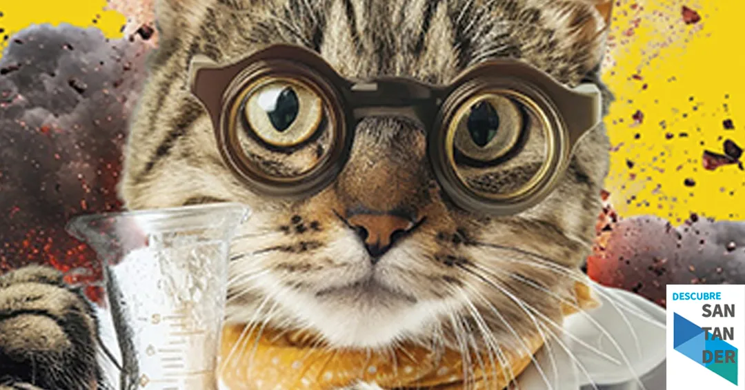 eventos Santander Bio-beat marino: la banda sonora del océano