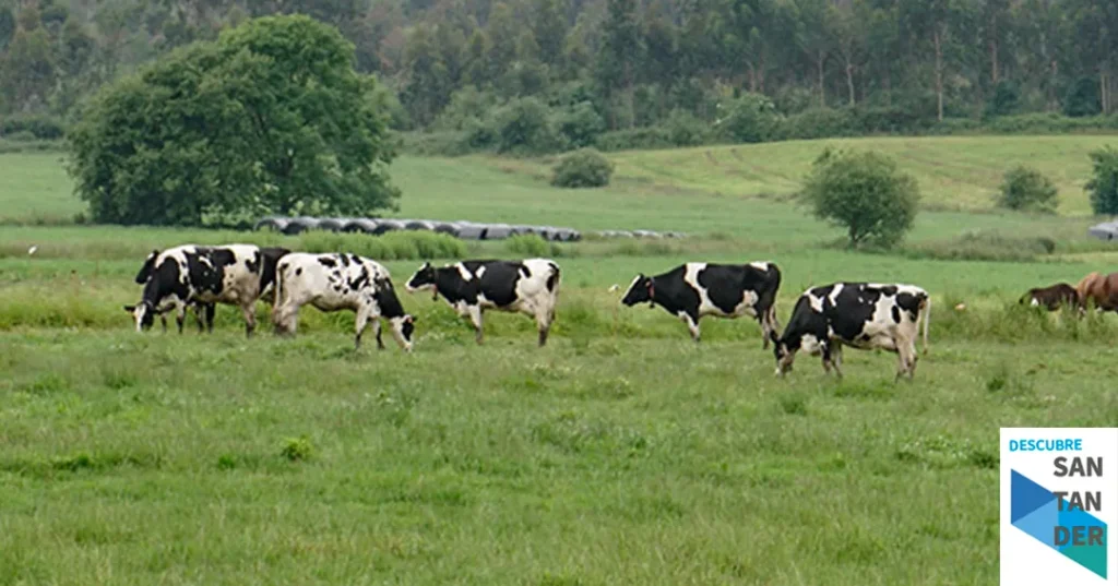 Noticias Cantabria El Gobierno destaca el papel de Agroseguro como herramienta clave para la protección del sector primario