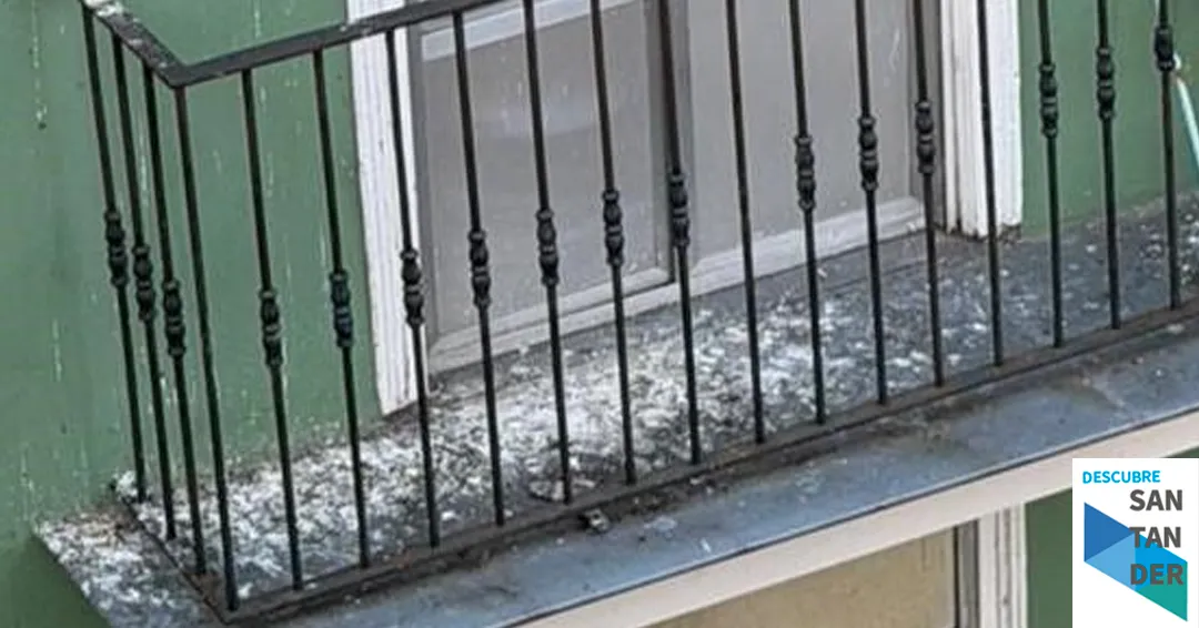 El PRC de Santander pide un “plan de control efectivo” de palomas y la limpieza inmediata de los excrementos
