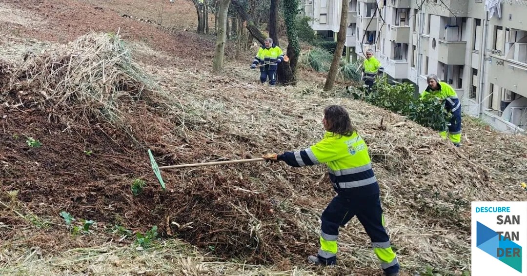 El Proyecto Experiencial Suances Verde V impulsa la recuperación ambiental de la Ladera del Monte
