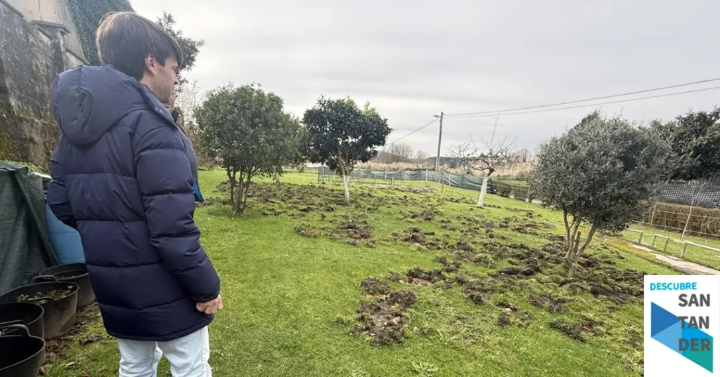 Noticias Torrelavega Torrelavega exige al Gobierno una actuación urgente ante la proliferación de jabalíes en Torres, Duález y Caseríos