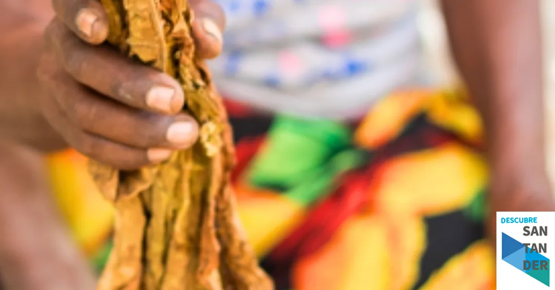 Eventos Santander Inauguración de la exposición fotográfica “Resiliencia”