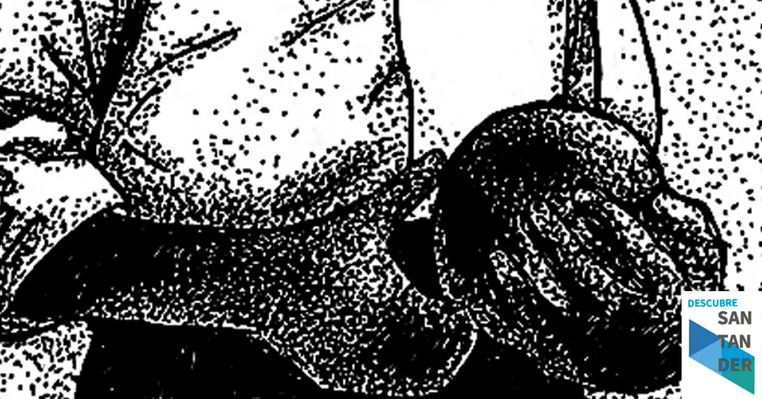 Eventos Santander Concierto Lost Legion y Collaps Santander 2026