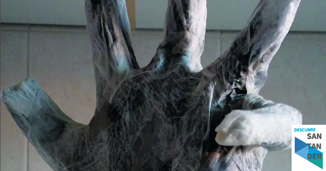 Eventos Santander Taller de esculturas en papel por Sol Abreu