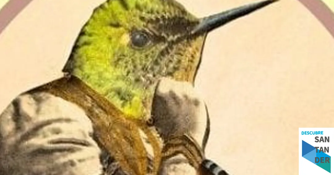 Eventos Santander Taller de poesía comentada | Una voz y su eco con Gema Martínez