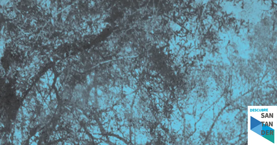 Eventos Santander Yayo Herrero presenta "Metamorfosis Una revolución antropológica"