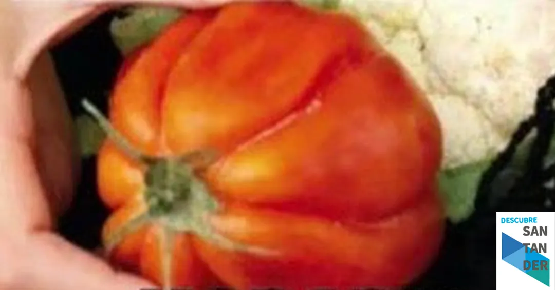 Mercado agroalimentario y artesanal Liencres 2026