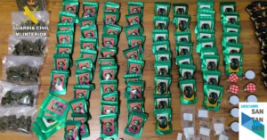 Aroma a marihuana en Castro: 5,5 kilos “decorativos” incautados