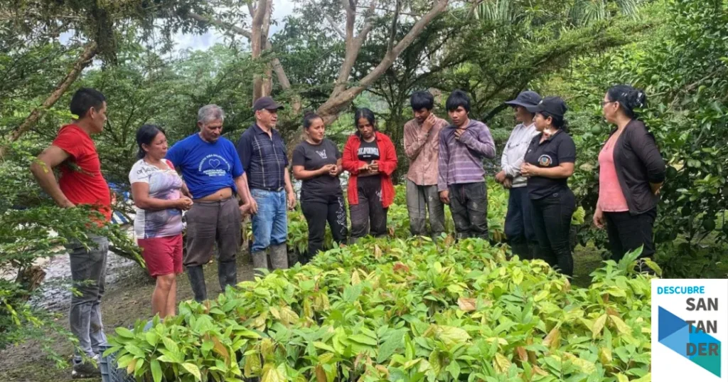 Noticias Reinosa El Ayuntamiento y la Fundación Pacaso & Pacaso lanzan un programa de voluntariado en Ecuador