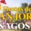 Programa fiestas de San Jorge Penagos 2026
