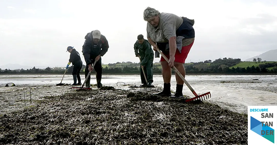 El Gobierno de Cantabria somete a información pública la modificación de la normativa sobre vedas y marisqueo