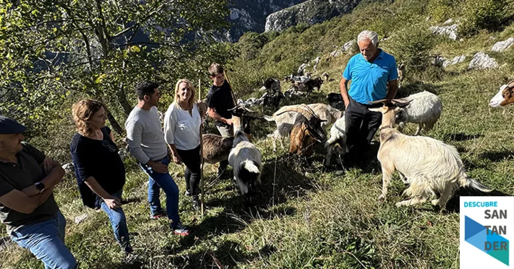 Noticias Cantabria El Gobierno de Cantabria inicia el pago de las ayudas a la ganadería sostenible de ovino y caprino