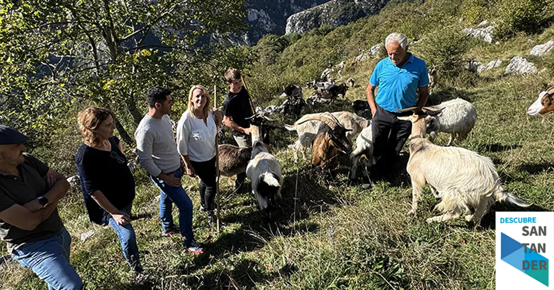 El Gobierno de Cantabria inicia el pago de las ayudas a la ganadería sostenible de ovino y caprino