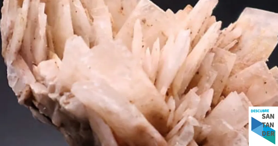 Programa VIIII Feria de minerales y fósiles Torrelavega 2026