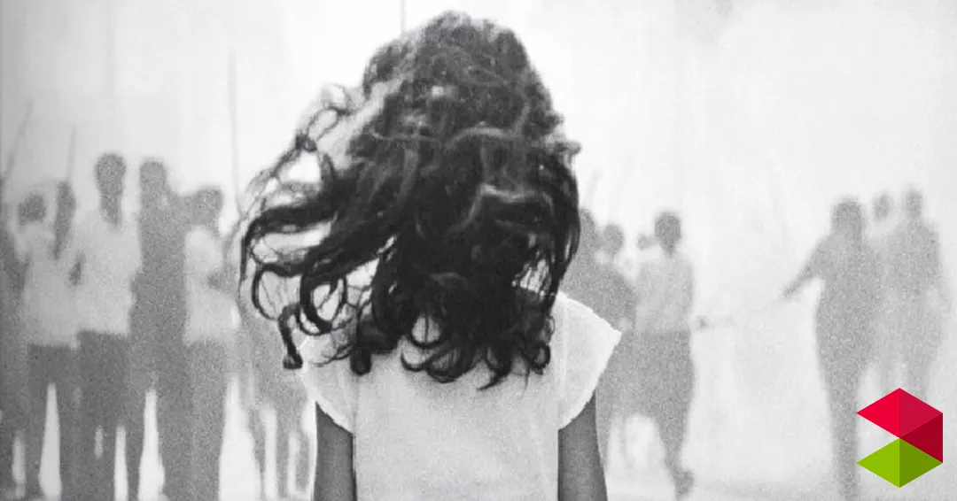 Reseña “Un halcón bajo mi ventana” de Lydia Cacho